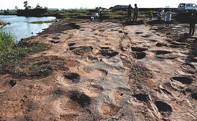 侏罗纪猜想证实 山东郯城县发现300个恐龙足迹(图)