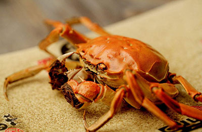 又到螃蟹上市季 健康食用要注意 ()